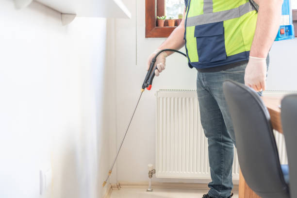 Best Flea Control Services  in , KS