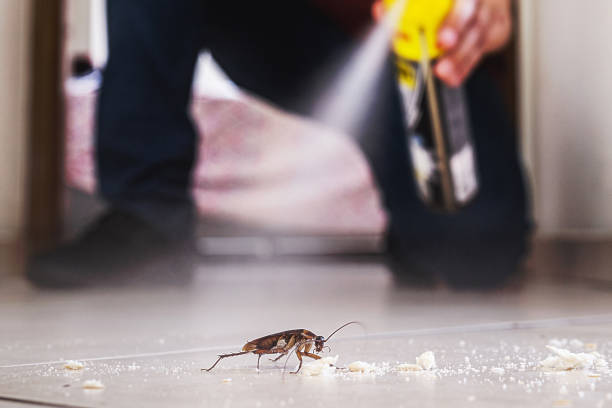 Best Pest Removal Services  in , KS