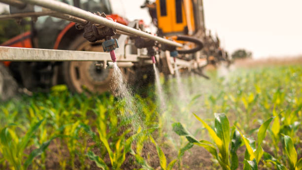 Best Pest Control for Businesses  in , KS