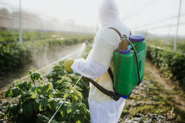 Best Termite Control Services  in , KS